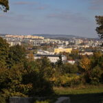 18.10.2023. Kielce. Jesień, drzewa, liście / Fot. Wiktor Taszłow - Radio Kielce