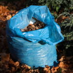 Jak wykorzystać ostatnie pogodne dni na działce?