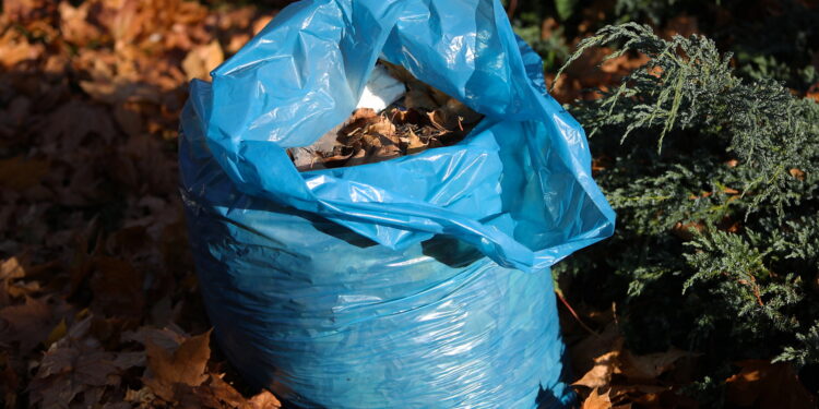 Czy grabić liście na zimę? Zdania są podzielone - Radio Kielce Czy grabić liście na zimę? Zdania są podzielone