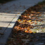 18.10.2023. Kielce. Jesień, drzewa, liście / Fot. Wiktor Taszłow - Radio Kielce