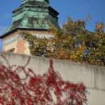 18.10.2023. Kielce. Jesień, drzewa, liście / Fot. Wiktor Taszłow - Radio Kielce