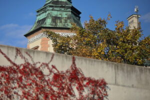 18.10.2023. Kielce. Jesień, drzewa, liście / Fot. Wiktor Taszłow - Radio Kielce