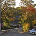 18.10.2023. Kielce. Jesień, drzewa, liście / Fot. Wiktor Taszłow - Radio Kielce