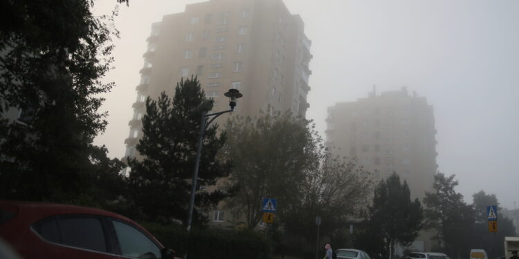 Świętokrzyskie w strefie mrozu, ale nie śniegu - Radio Kielce 10.10.2023. Kielce. Mgła, jesień, szron, mróz / Fot. Wiktor Taszłow - Radio Kielce