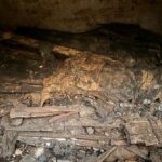 Kolejna tajemnica kościoła pokamedulskiego w Pustelni Złotego Lasu w Rytwianach - Radio Kielce Rytwiany. Krypty w kościele pokamedulskim w Rytwianach / Fot ks. Wiesław Kowalewski, dyrektor Pustelni Złotego Lasu w Rytwianach