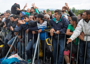 Hamas wzywa do zamachów, a Europa do paktu migracyjnego. "To szykowanie sobie pętli na szyję"