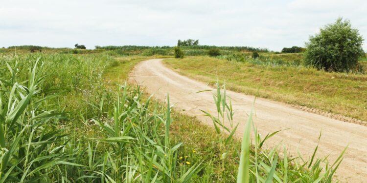 Będą nowe drogi dojazdowe do pól - Radio Kielce