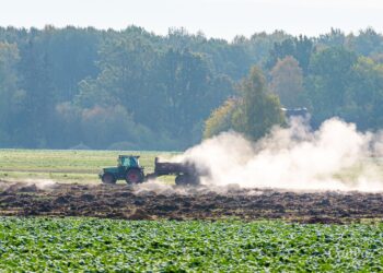 Kiedy i jakie nawozy stosować jesienią? - Radio Kielce