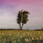 Nadciąga silny wiatr. Synoptycy ostrzegają [PROGNOZA POGODY]