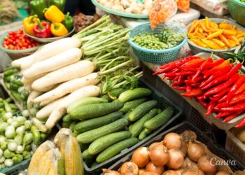 Ceny warzyw i owoców w Końskich (11.10.2023) - Radio Kielce