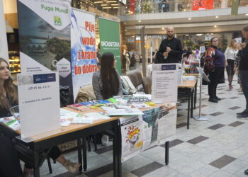 20.10.2023. Kielce. Galeria Korona. Targi Pracy i Edukacji / Fot. Radio Kielce