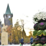 28.10.2023 Końskie. Kapusta ozdobiła konekci rynek / Fot. Magdalena Galas-Klusek - Radio Kielce