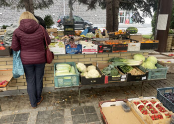 Ceny warzyw i owoców w Sandomierzu (12.10.2023) - Radio Kielce