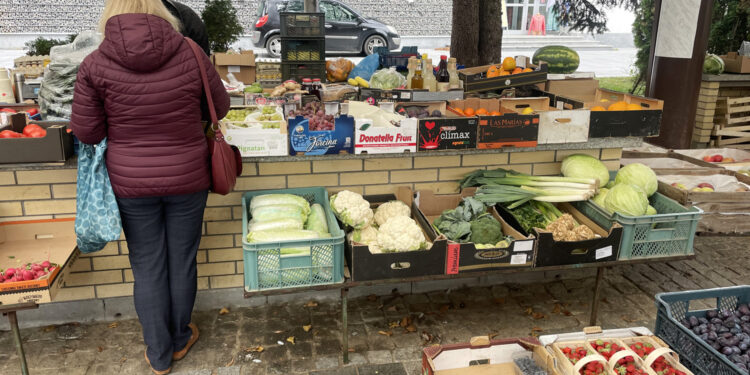 Ceny warzyw i owoców w Sandomierzu (12.10.2023) - Radio Kielce