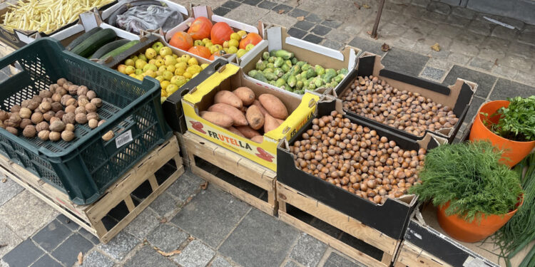 Ceny warzyw i owoców w Sandomierzu (19.10.2023) - Radio Kielce