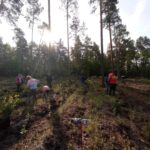 11.10.2023 Rytwiany. Sadzenie lasu / Fot. Grzegorz Forkasiewicz