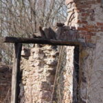 Wólka Kłucka. Ruiny. / Źródło: PIK Kielce