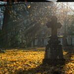 Uciążliwy może być wiatr, ale nie temperatura [PROGNOZA POGODY]