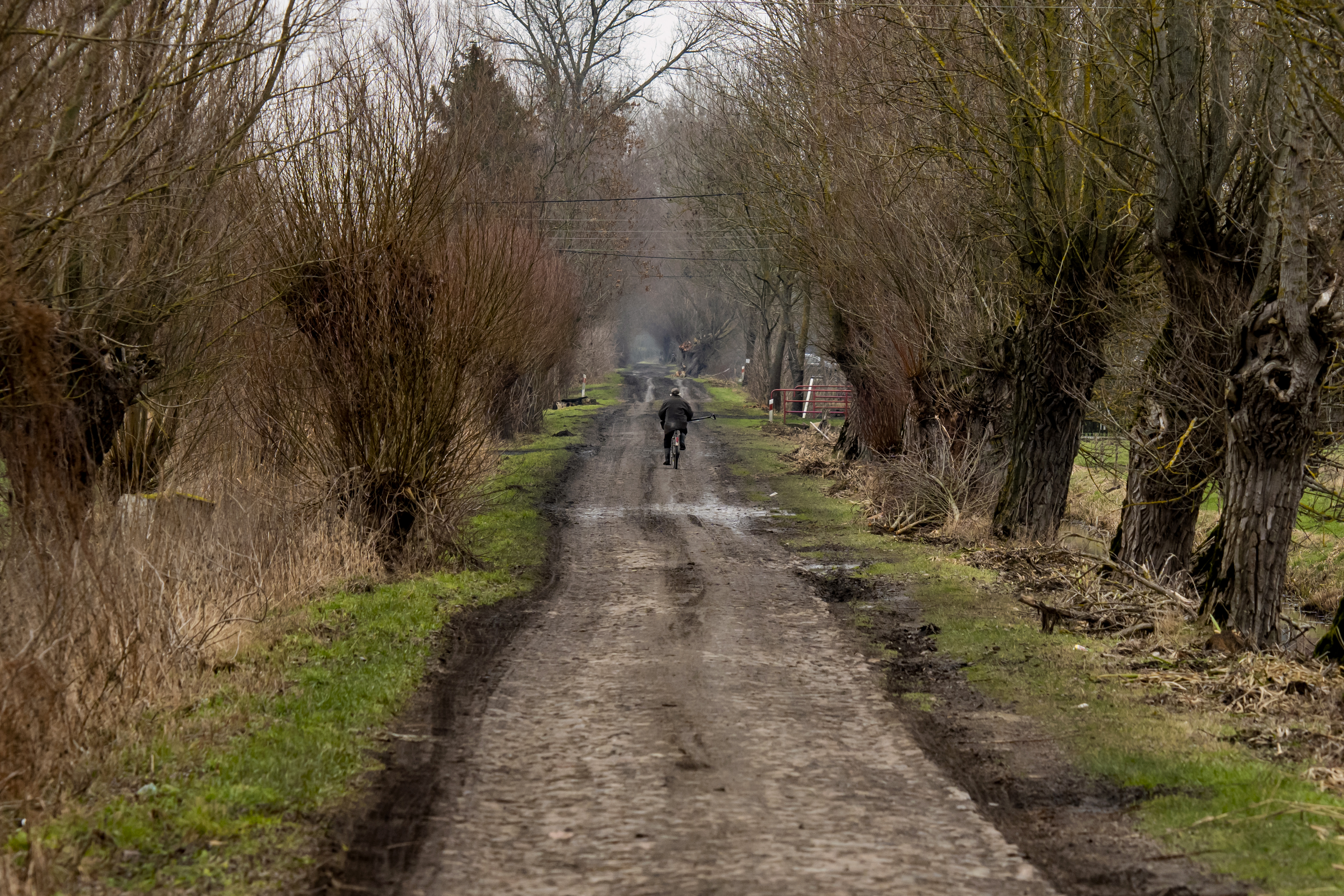Piękno kieleckich krajobrazów wciąż zachwyca
