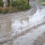 07.11.2023. Kielce. Ulica Stawki / Fot. Mateusz Jakubowski