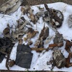 13.11.2023. Krzcin. Odnalezienie szczątków niemieckiego bombowca Heinkla He 111 z okresu II wojny światowej oraz pamiątek osobistych załogi / Fot. Grażyna Szlęzak - Radio Kielce