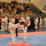 Turniej karate w Katowicach / Fot. Andrzej Horna - Facebook