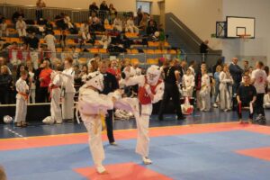 Turniej karate w Katowicach / Fot. Andrzej Horna - Facebook