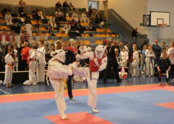 Turniej karate w Katowicach / Fot. Andrzej Horna - Facebook