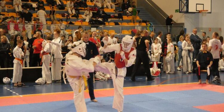 Turniej karate w Katowicach / Fot. Andrzej Horna - Facebook