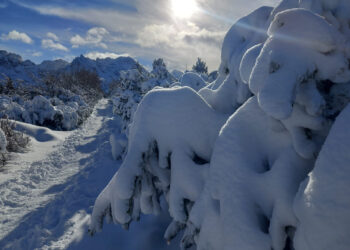 W Tatrach mróz, opady śniegu i pierwszy stopień zagrożenia lawinowego