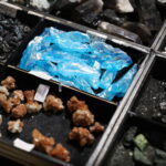 Nie lada gratka dla miłośników biżuterii i skamieniałości - Radio Kielce