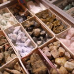 Nie lada gratka dla miłośników biżuterii i skamieniałości - Radio Kielce