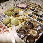 Nie lada gratka dla miłośników biżuterii i skamieniałości - Radio Kielce