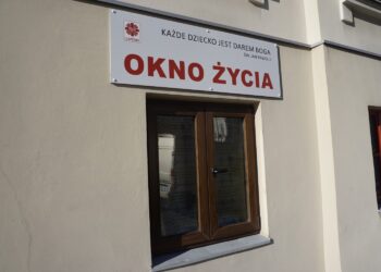 Noworodek w kieleckim oknie życia