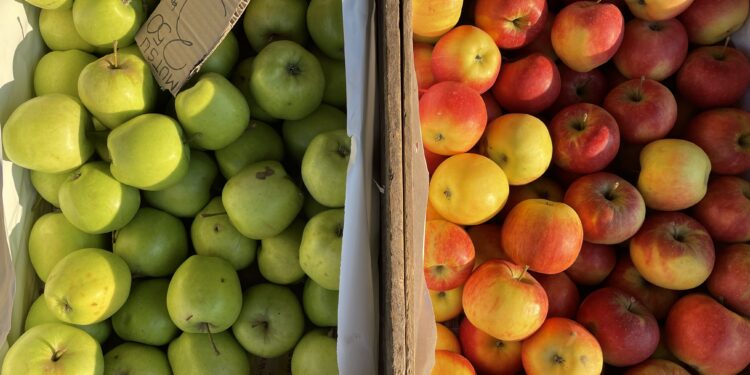 Ceny warzyw i owoców w Końskich (8.11.2023) - Radio Kielce