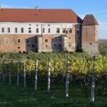 Sandomierz. Zamek królewski, Muzeum Zamkowe, winnica Świętego Jakuba / Fot. Robert Felczak – Radio Kielce