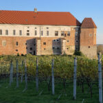 Sandomierz. Zamek królewski, Muzeum Zamkowe, winnica Świętego Jakuba / Fot. Robert Felczak – Radio Kielce