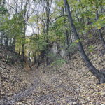 Sandomierz. Wąwóz Królowej Jadwigi / Fot. Robert Felczak – Radio Kielce