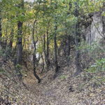 Sandomierz. Wąwóz Królowej Jadwigi / Fot. Robert Felczak – Radio Kielce