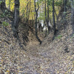 Sandomierz. Wąwóz Królowej Jadwigi / Fot. Robert Felczak – Radio Kielce