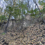 Sandomierz. Wąwóz Królowej Jadwigi / Fot. Robert Felczak – Radio Kielce