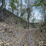 Sandomierz. Wąwóz Królowej Jadwigi / Fot. Robert Felczak – Radio Kielce