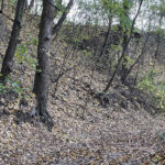 Sandomierz. Wąwóz Królowej Jadwigi / Fot. Robert Felczak – Radio Kielce