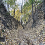 Sandomierz. Wąwóz Królowej Jadwigi / Fot. Robert Felczak – Radio Kielce