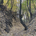 Sandomierz. Wąwóz Królowej Jadwigi / Fot. Robert Felczak – Radio Kielce