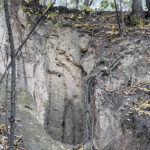 Sandomierz. Wąwóz Królowej Jadwigi / Fot. Robert Felczak – Radio Kielce