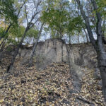 Sandomierz. Wąwóz Królowej Jadwigi / Fot. Robert Felczak – Radio Kielce