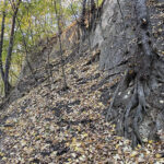 Sandomierz. Wąwóz Królowej Jadwigi / Fot. Robert Felczak – Radio Kielce