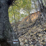 Sandomierz. Wąwóz Królowej Jadwigi / Fot. Robert Felczak – Radio Kielce