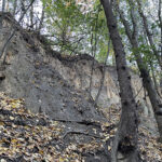 Sandomierz. Wąwóz Królowej Jadwigi / Fot. Robert Felczak – Radio Kielce